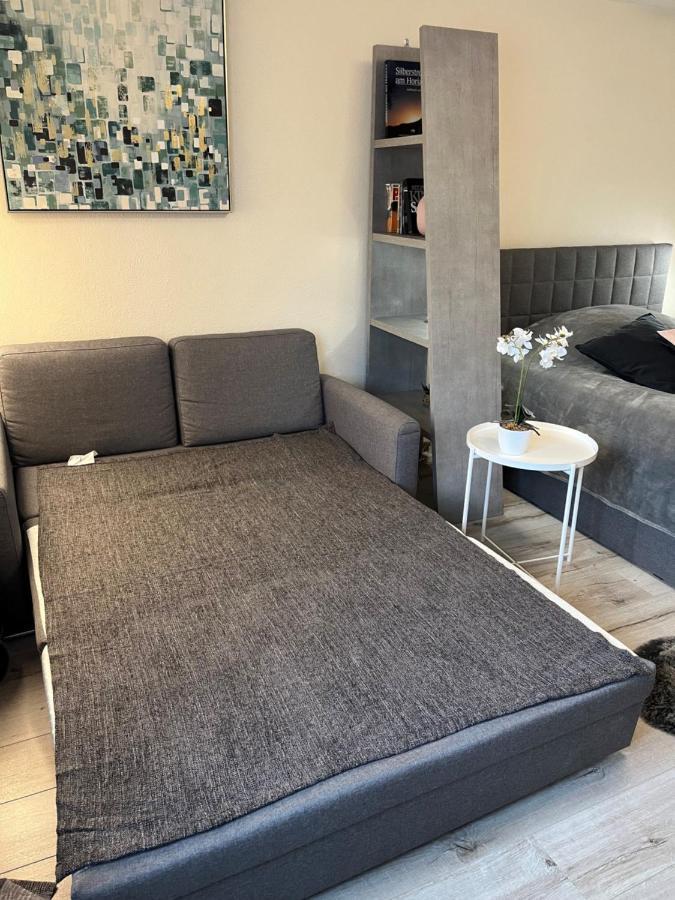 Alice Apartment Wackernheim Ingelheim am Rhein Ngoại thất bức ảnh
